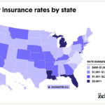 The-Zebra-rates-by-state-2021